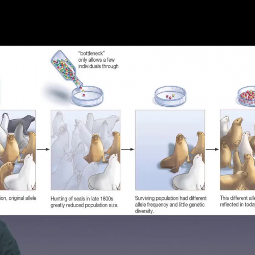 STUDYFORBIO: Other Mechanisms of Evolution