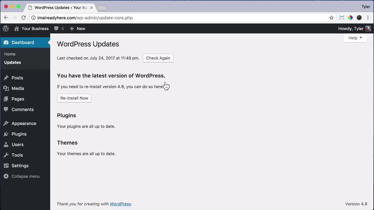 How To Install a WordPress Theme 10