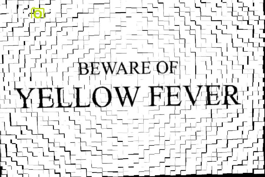 Yellow Fever Awareness and Preventative Measures by Gloria Mensah
