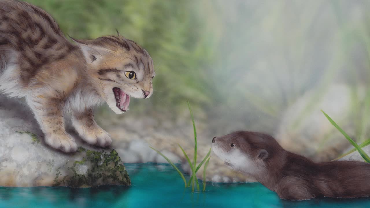 Little Otter Learns to Swim - Book Trailer