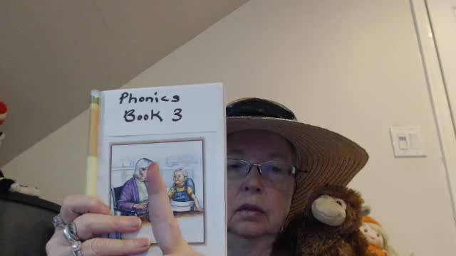 Story 3 Lesson 1: Learning to Read with Phonics