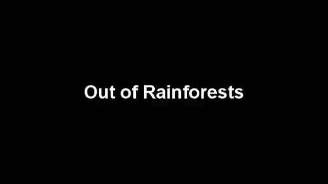 Out of Rainforests