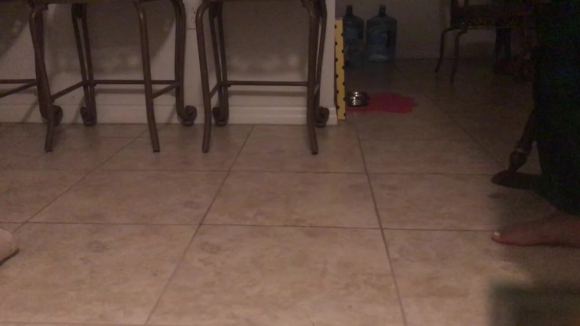 01.03 Fitness Assessment 