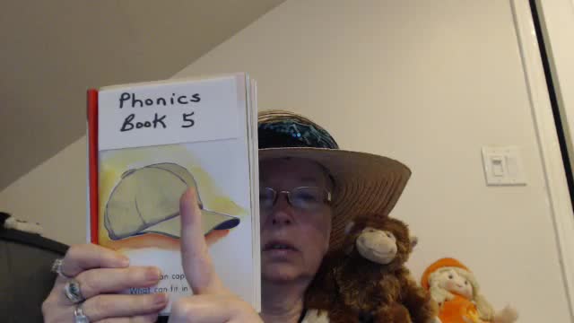 Story 5 Lesson 1: Learning to Read with Phonics