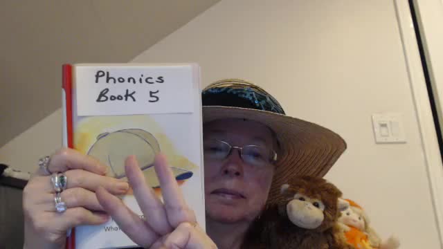 Story 5 Lesson 3: Learning to Read with Phonics