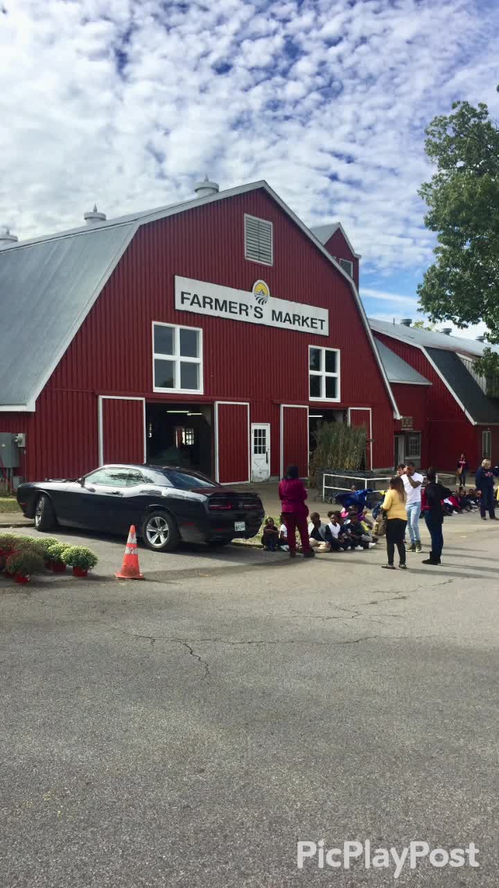 Kindergarten at the Agricenter