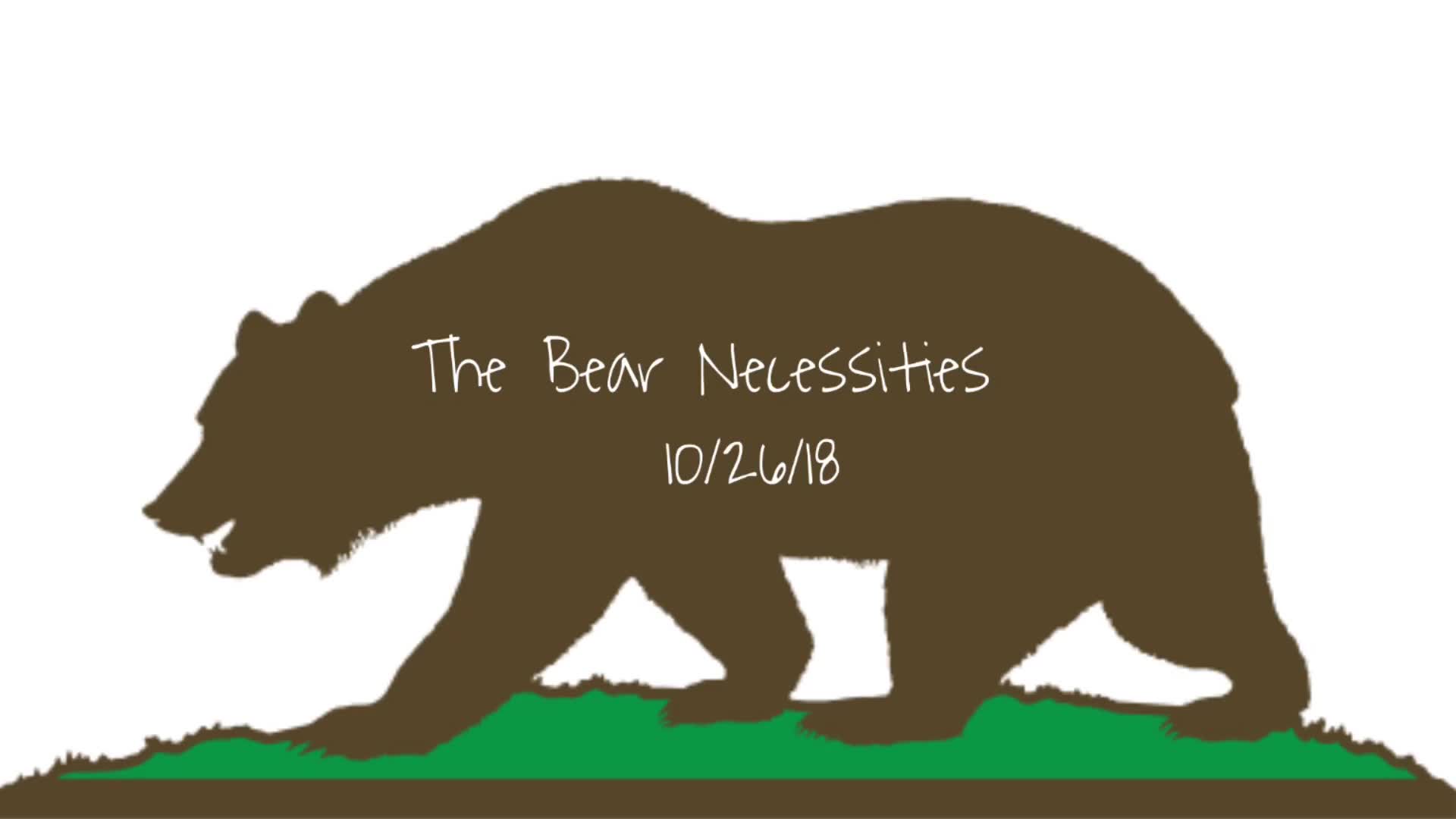Bear Necessities 10-26-18 