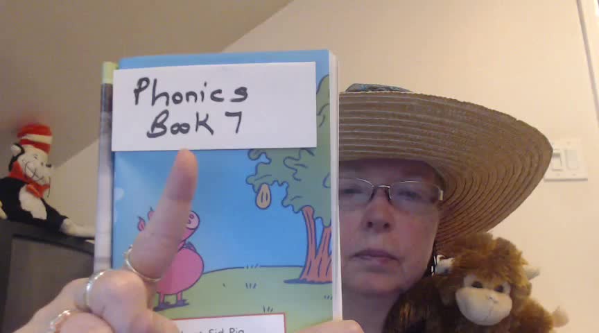 Story 7 Lesson 1:  Learning to Read with Phonics