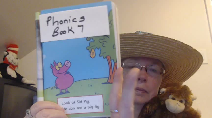 Story 7 Lesson 2:  Learning to Read with Phonics