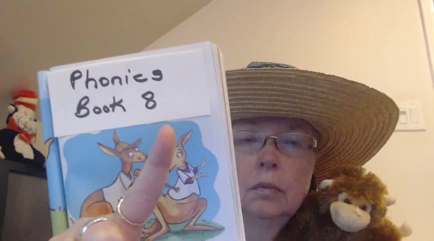 Story 8 Lesson 1 Learning to Read with Phonics