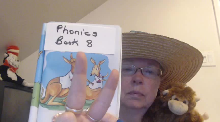 Story 8 Lesson 2 Learning to Read with Phonics