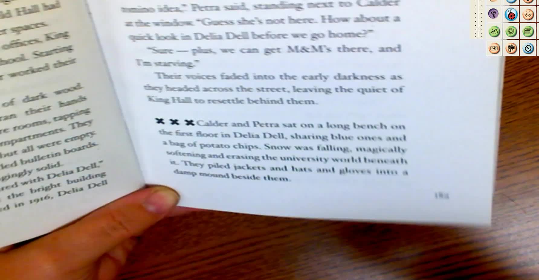 Chasing Vermeer Reading