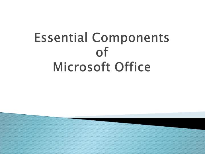 Essential Components of Microsoft Office