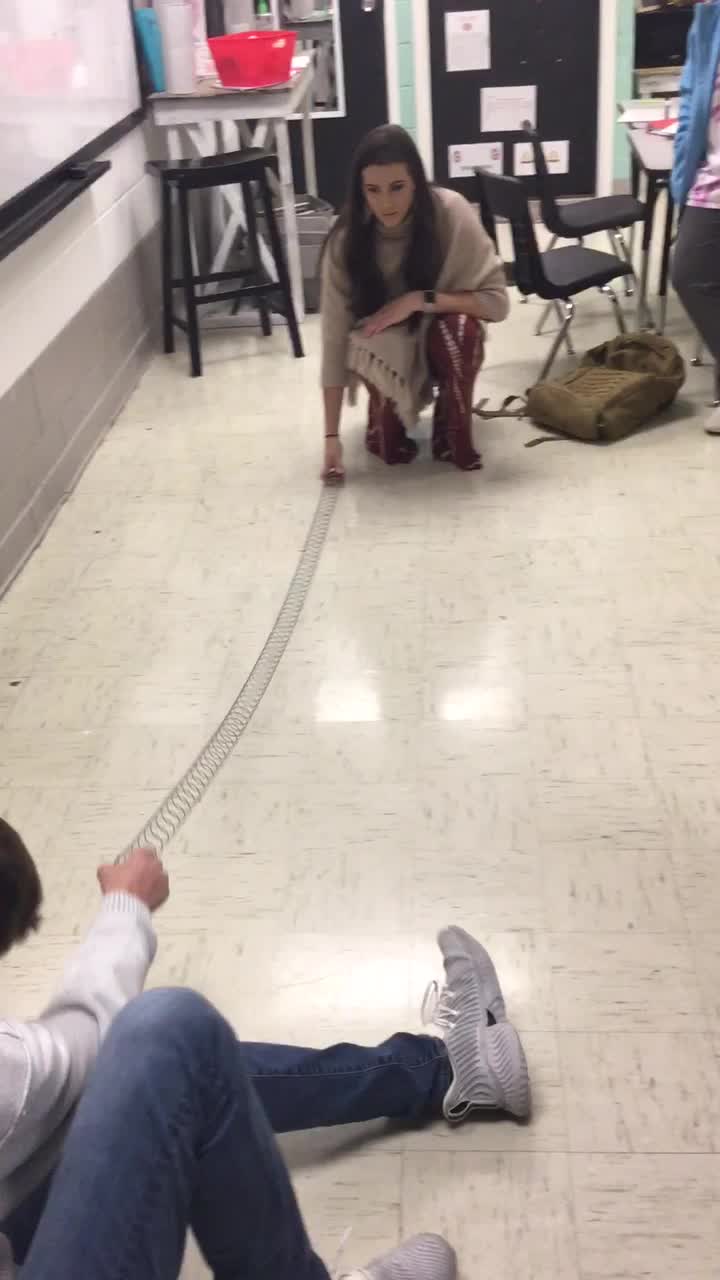 Wave Demo Using a Slinky