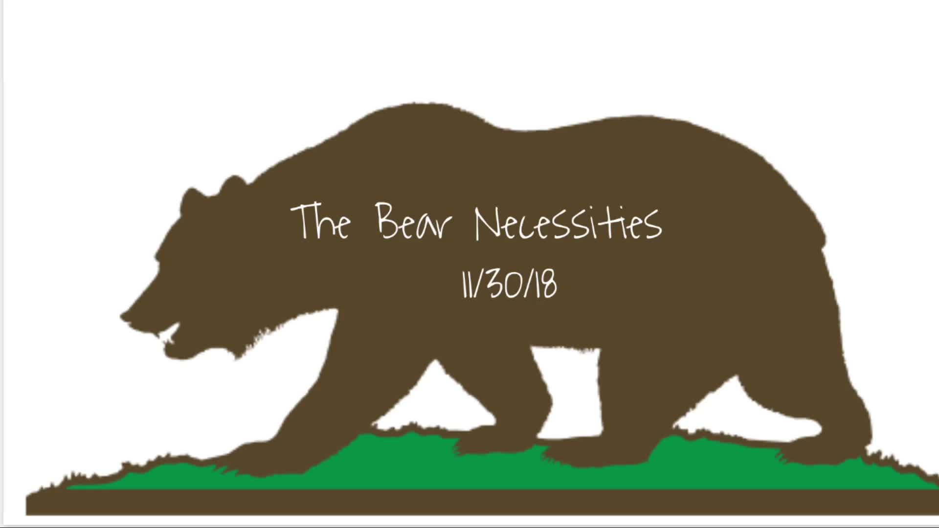 Bear Necessities 11-30-18