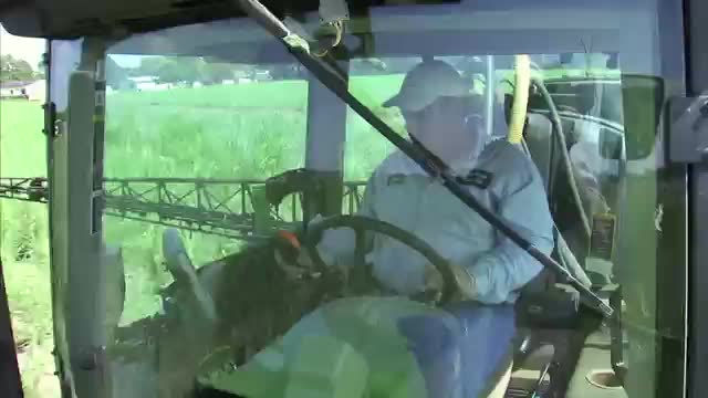 Louisiana Sugar Cane Farmer