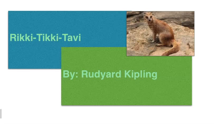 My multimedia review for Rikki-Tikki-Tavi   