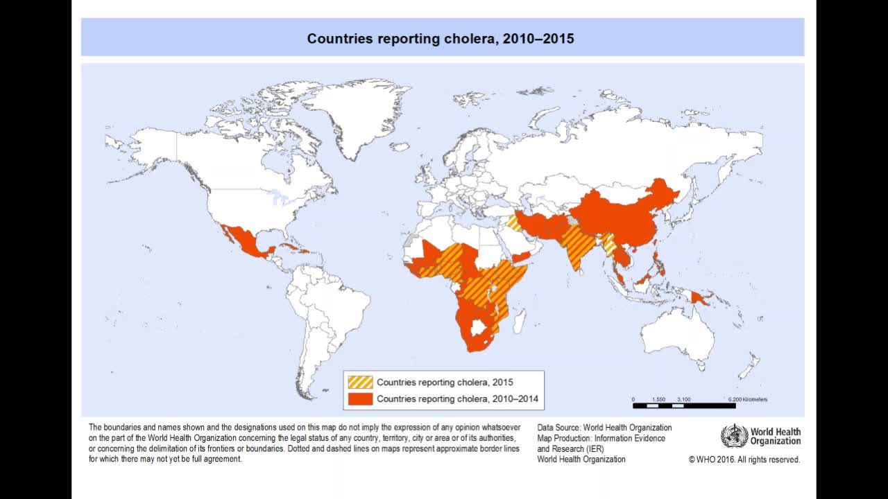 Cholera PSA