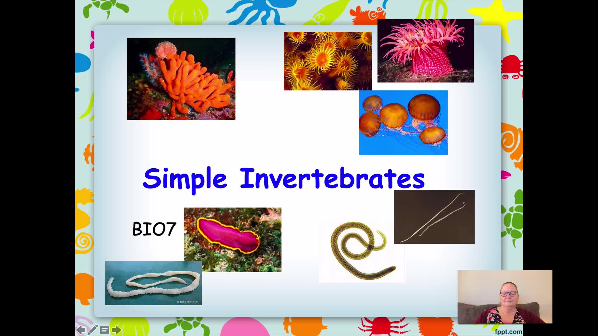 BIO7 - Simple Invertebrates