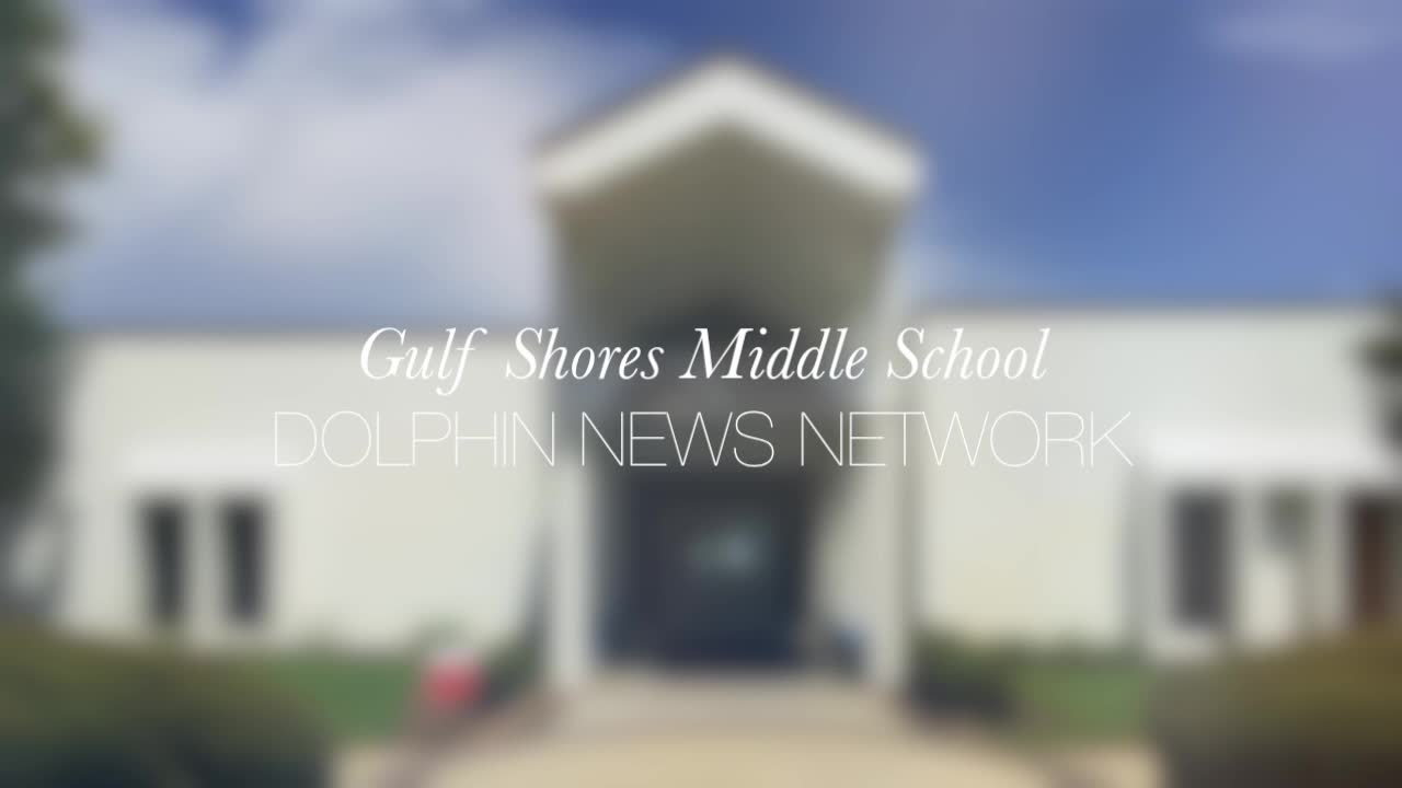 Dolphin News Network 2/22/19