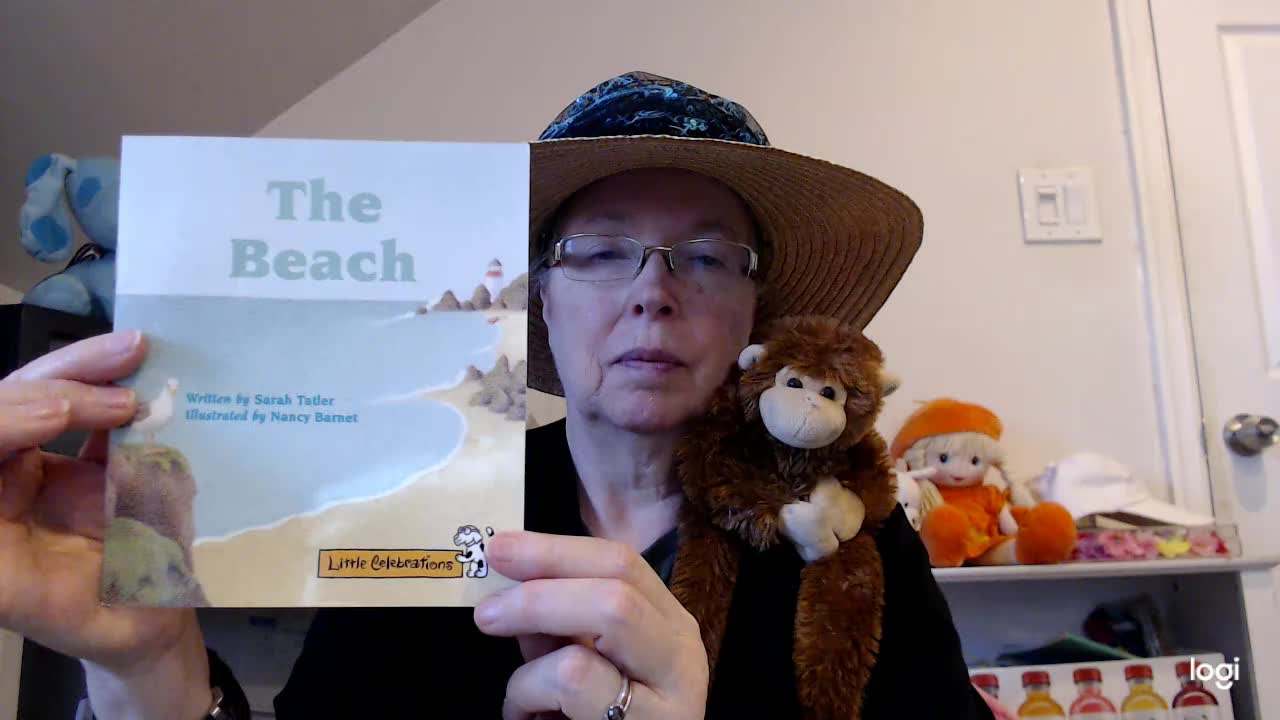 Our Teacher Closet: (reading practice) The Beach DRA 1