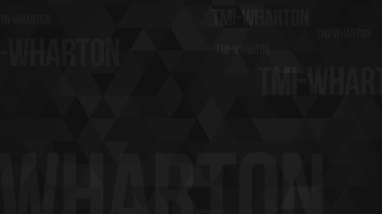 TMI-Wharton Fellow Program Testimonial - III