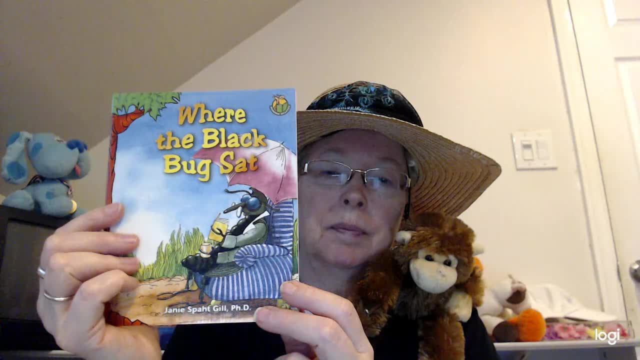 (read aloud) Where the Black Bug Sat DRA 3