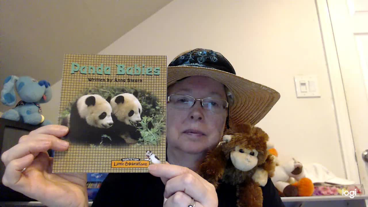 (read aloud) Panda Babies DRA 3