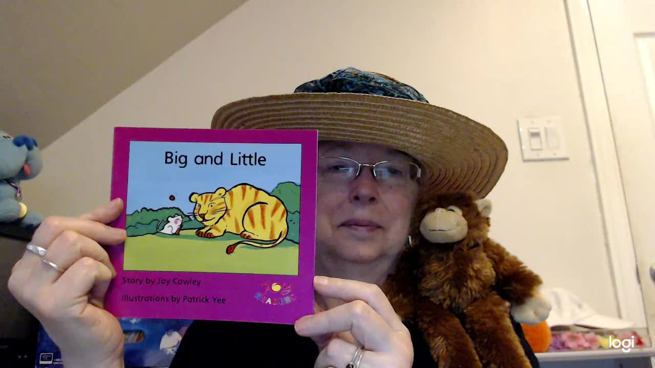 (read aloud) Big and Little DRA Level 6