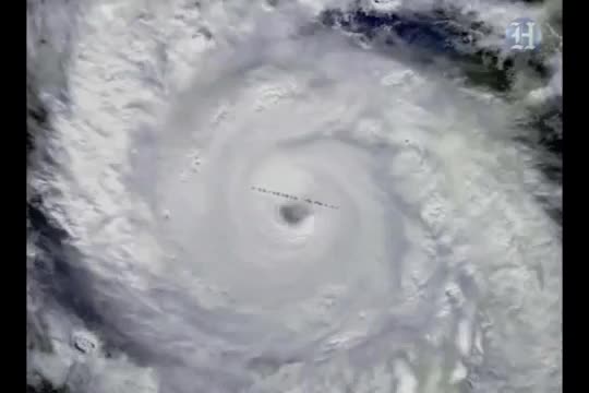 Typhoon