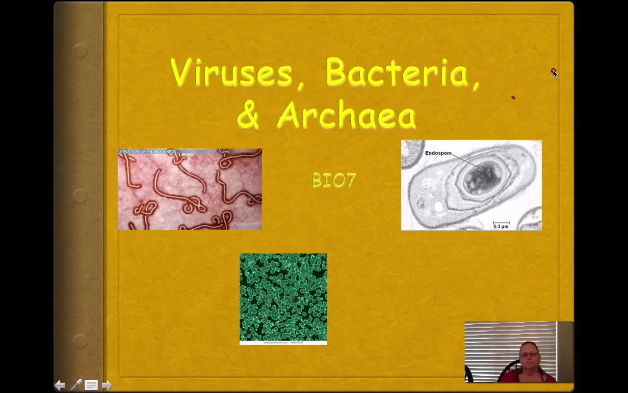 8. BIO7 - Viruses, Bacteria, and Archaea