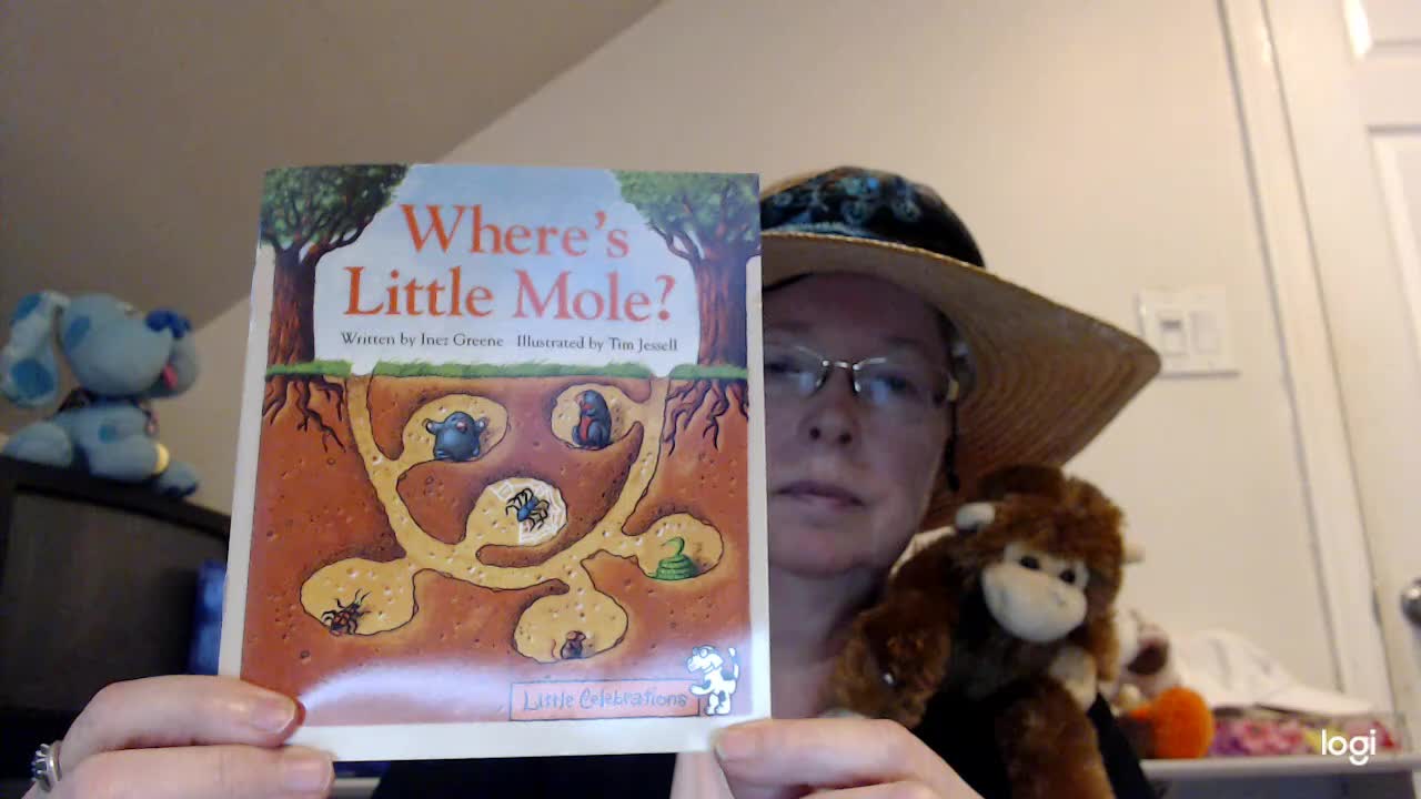 (Kindergarten/DRA 3) Read Aloud for Where's Little Mole?