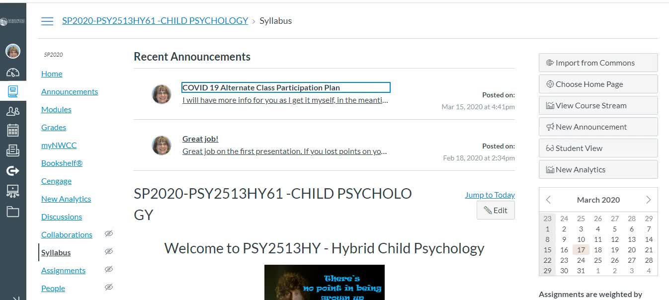 Child Psychology SP2020 COVID 19 #1