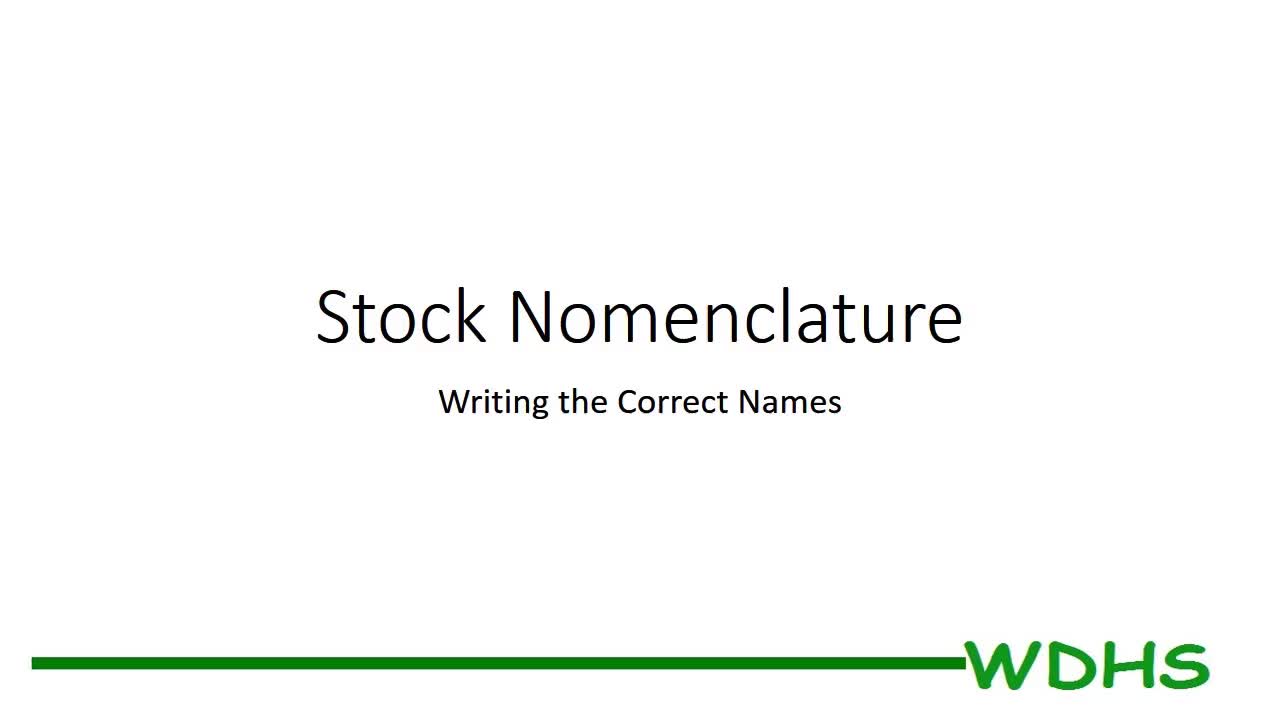 Stock Nomenclature - Writing Correct Names