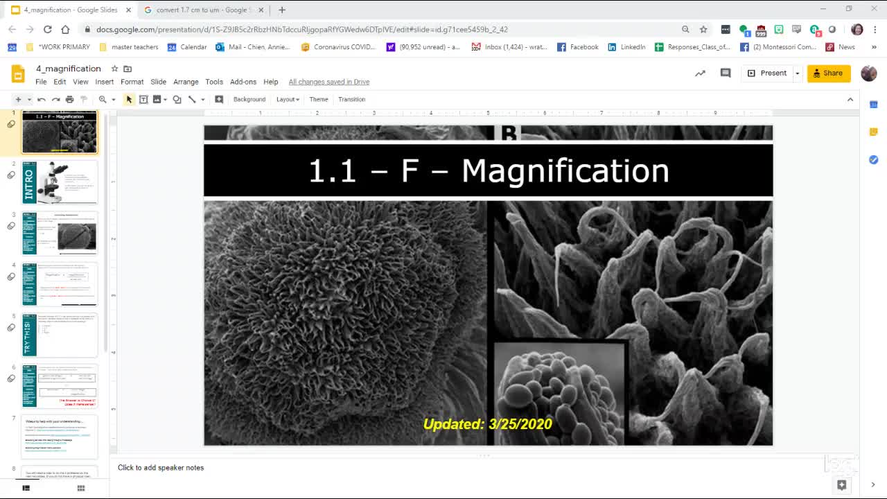 (HL1) Magnification Clarification