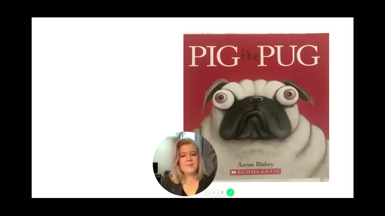 Pig the Pug