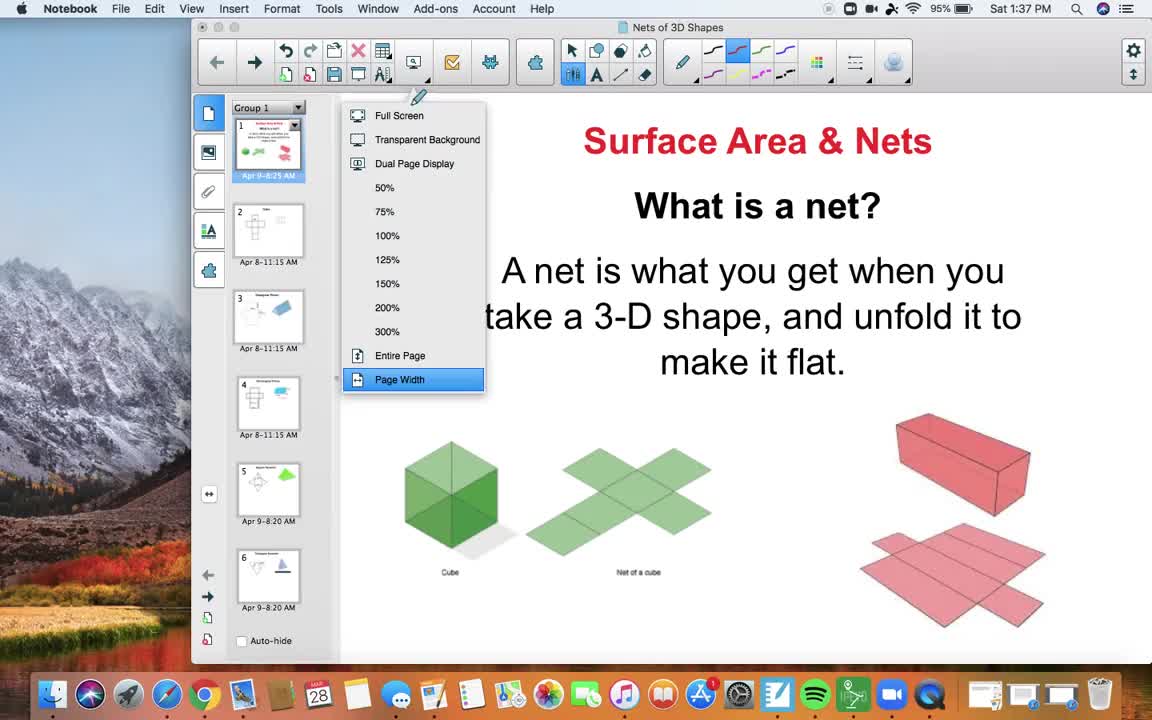 Surface Area/Nets