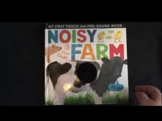 Noisy Farm Read Aloud