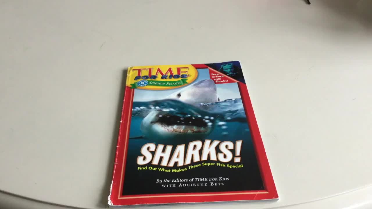 Times for Kids: Sharks 