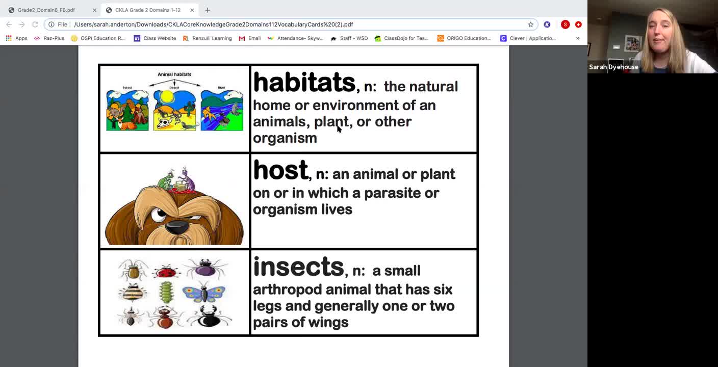 "Insects Everywhere"- Listening and Learning Domain 8