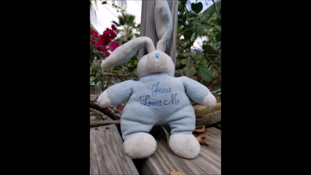 Easter Bunny Stop Motion