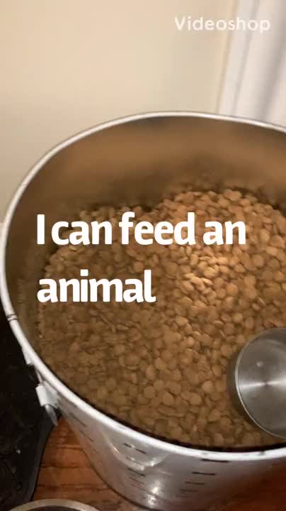 Week 3 Feed the Animals Video -