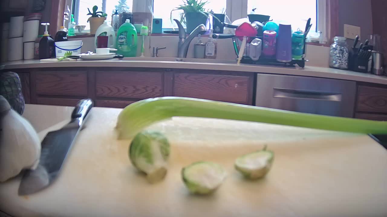 Garlic Celery and Cabbage Assignment