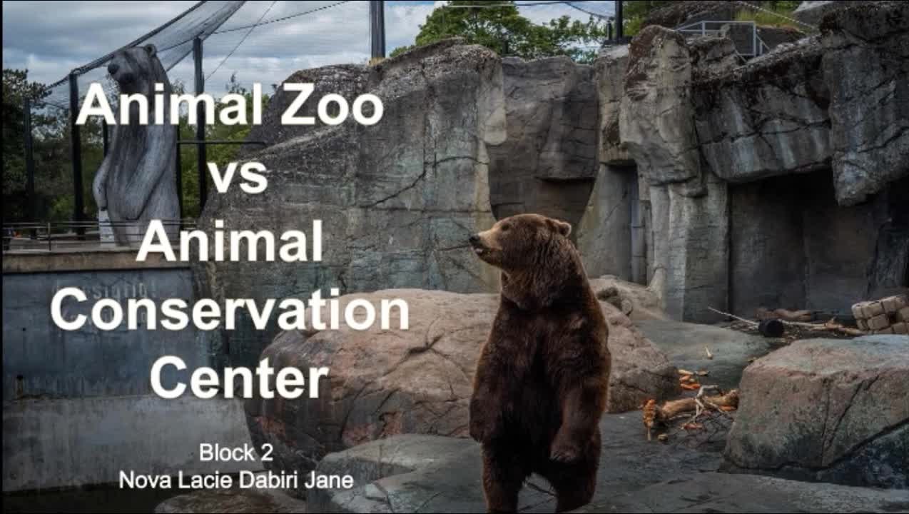 Student Documentary 001: Animal Zoos v. Animal Conservations
