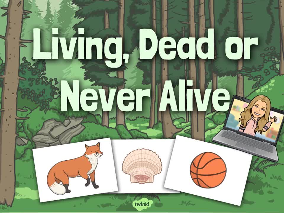 Living Things and Their Habitats Lesson 1- Living, Dead and Never Alive.