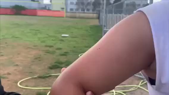 Animal Bites and Bee Stings 