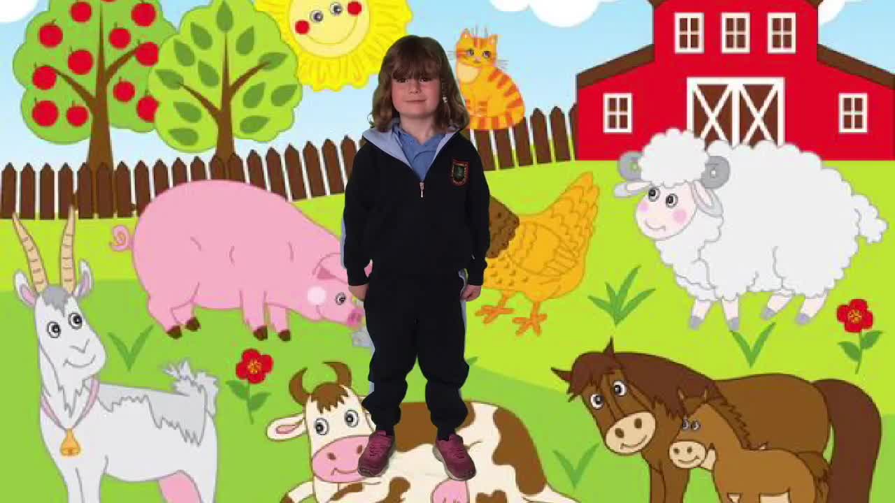 Junior Infants- The Farm
