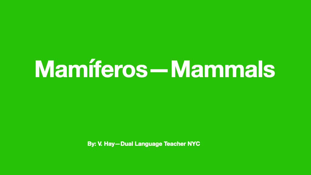 Mammals/Mamíferos