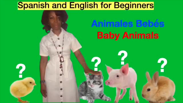 Baby Animals/Animales Bebés