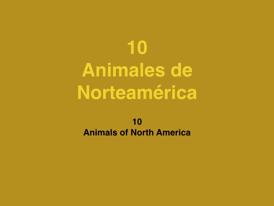 Animals of North America. Animales de Norteamérica.